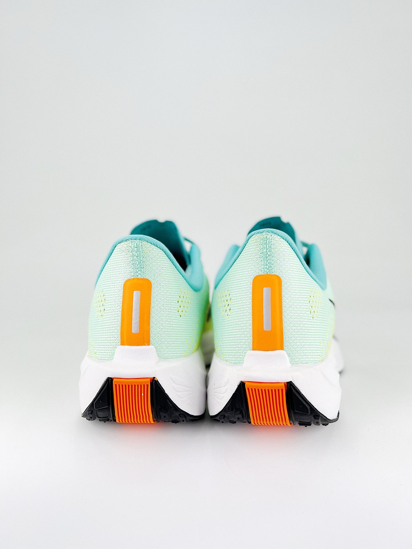 Nike Flex Plus Pegasus Plus