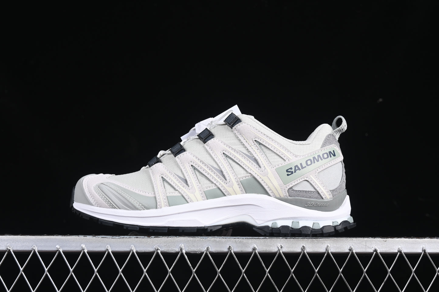 Salomon XA PRO 3D