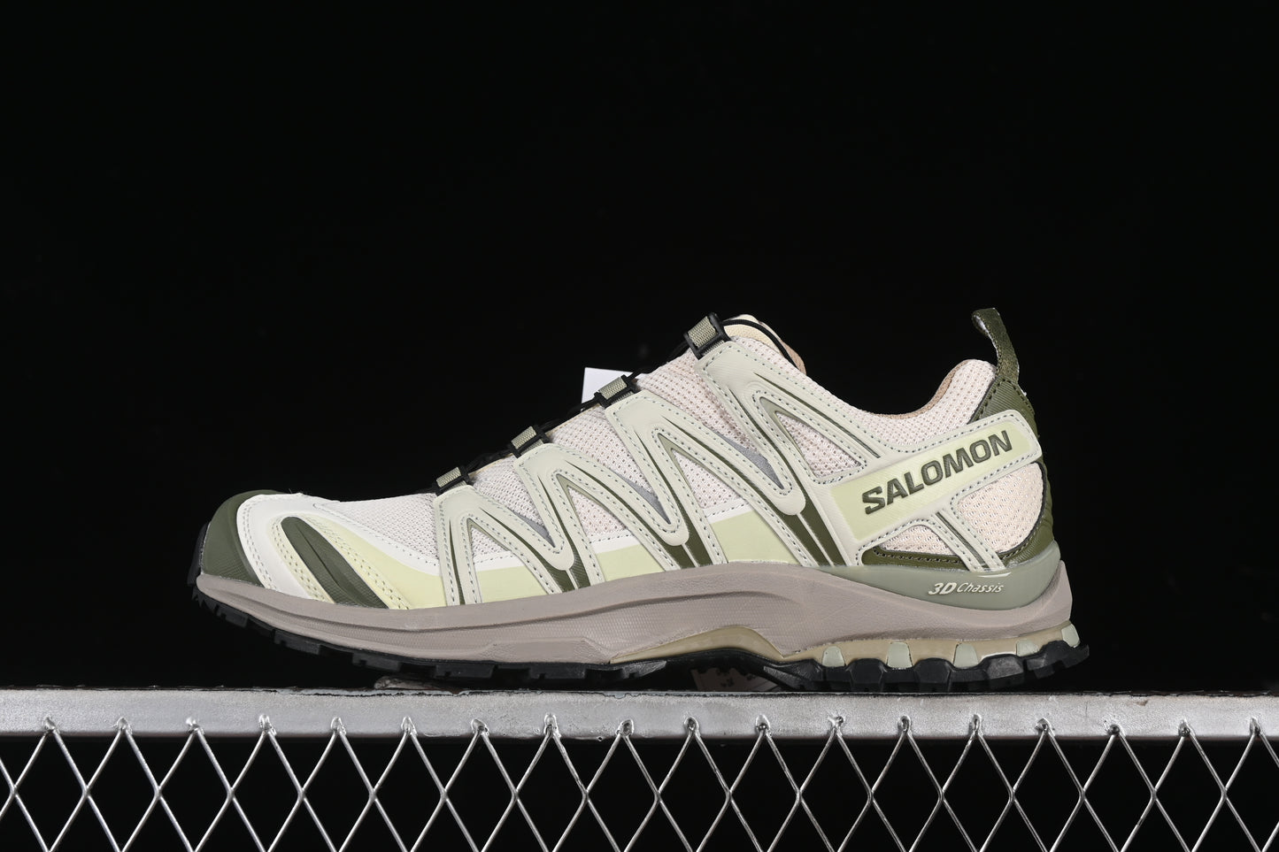 Salomon XA PRO 3D