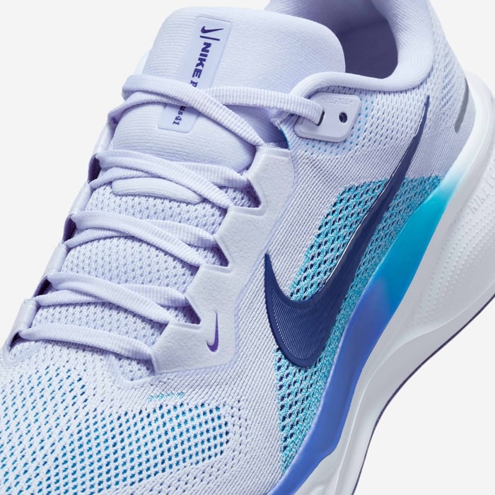 Nike Pegasus 41