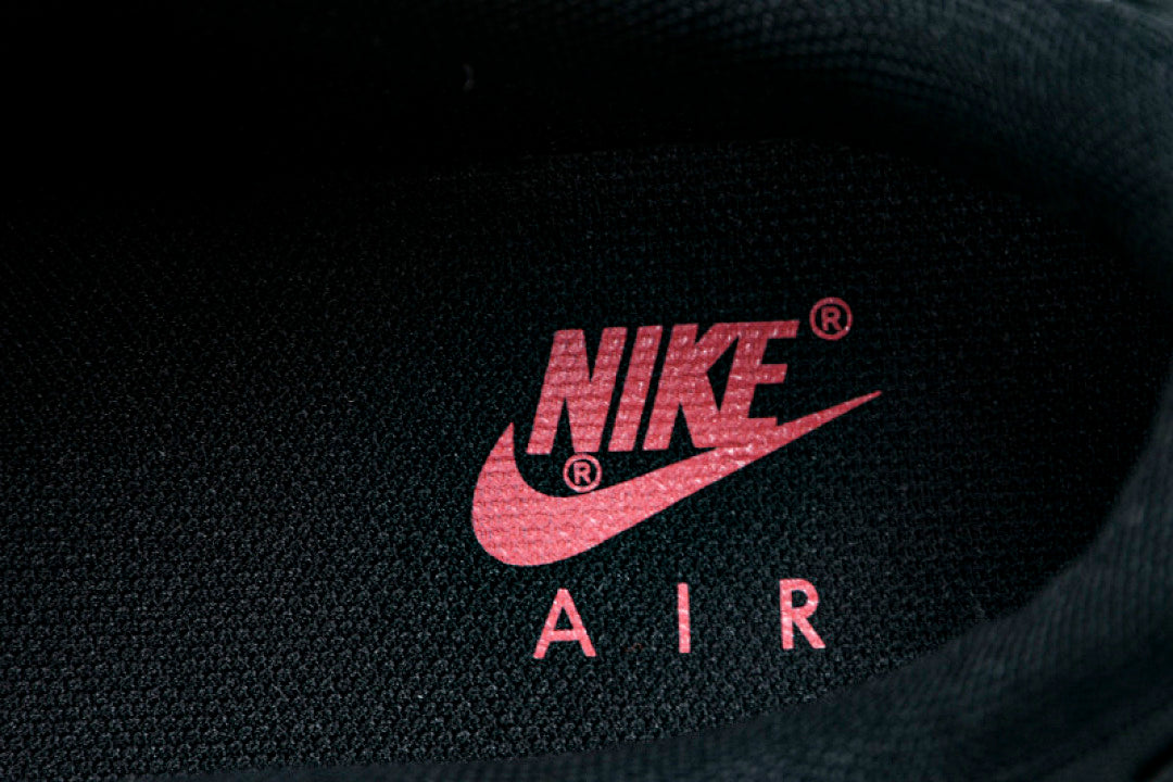CQ7743 001 AIR MAX 90 BLACK