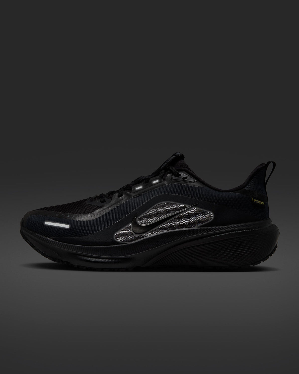 Nike Pegasus 42 GORE-TEX