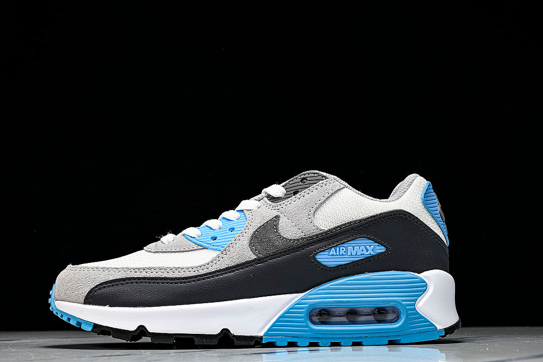 【250】DM0029-019 AIR MAX 90 PLATINUM TINT/IRON GREY/BLUE LIGHTNING