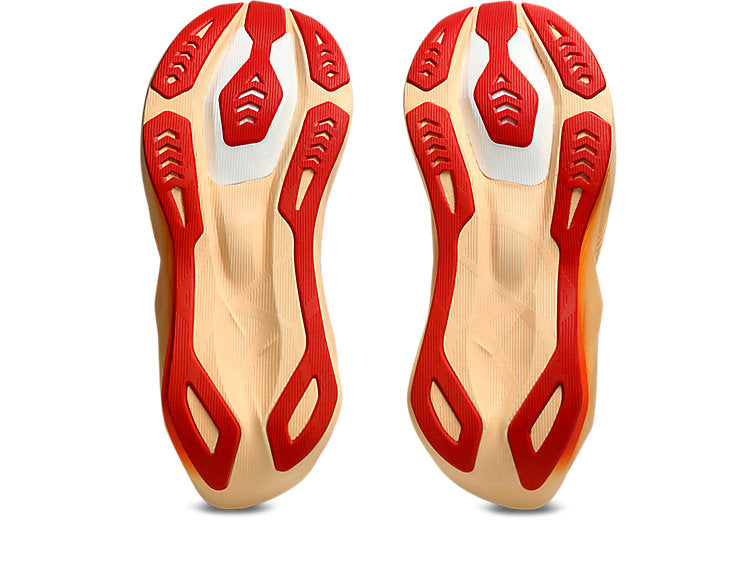 ASICS NOVABLAST 6