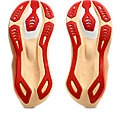 ASICS NOVABLAST 6