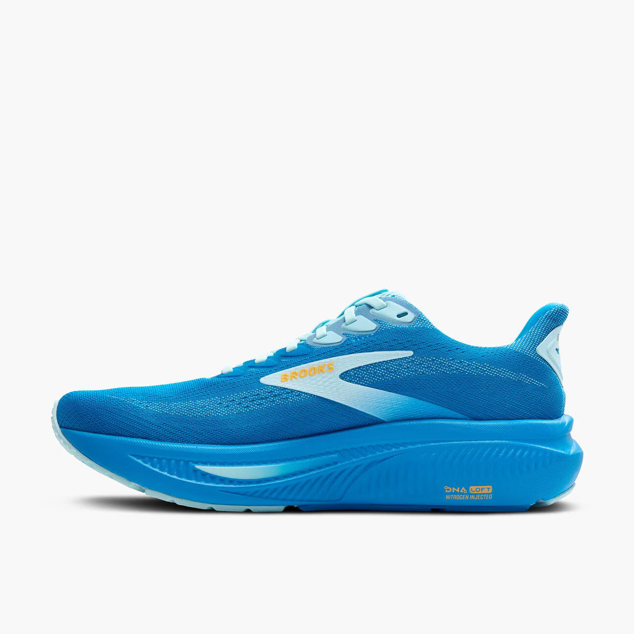Brooks ghost 17