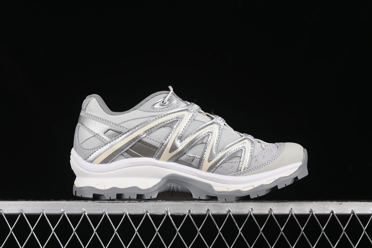 Salomon XT-Quest "GTX"