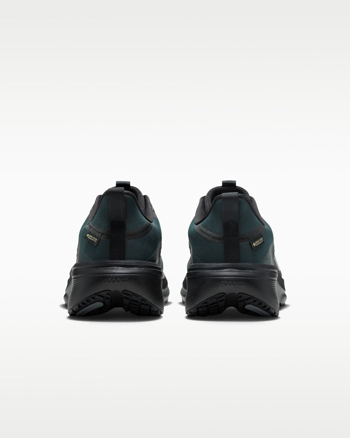 Nike Pegasus 42 GORE-TEX