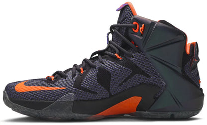 LeBron 12 'Data'
