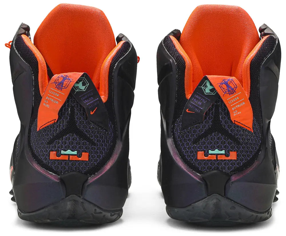 LeBron 12 'Data'
