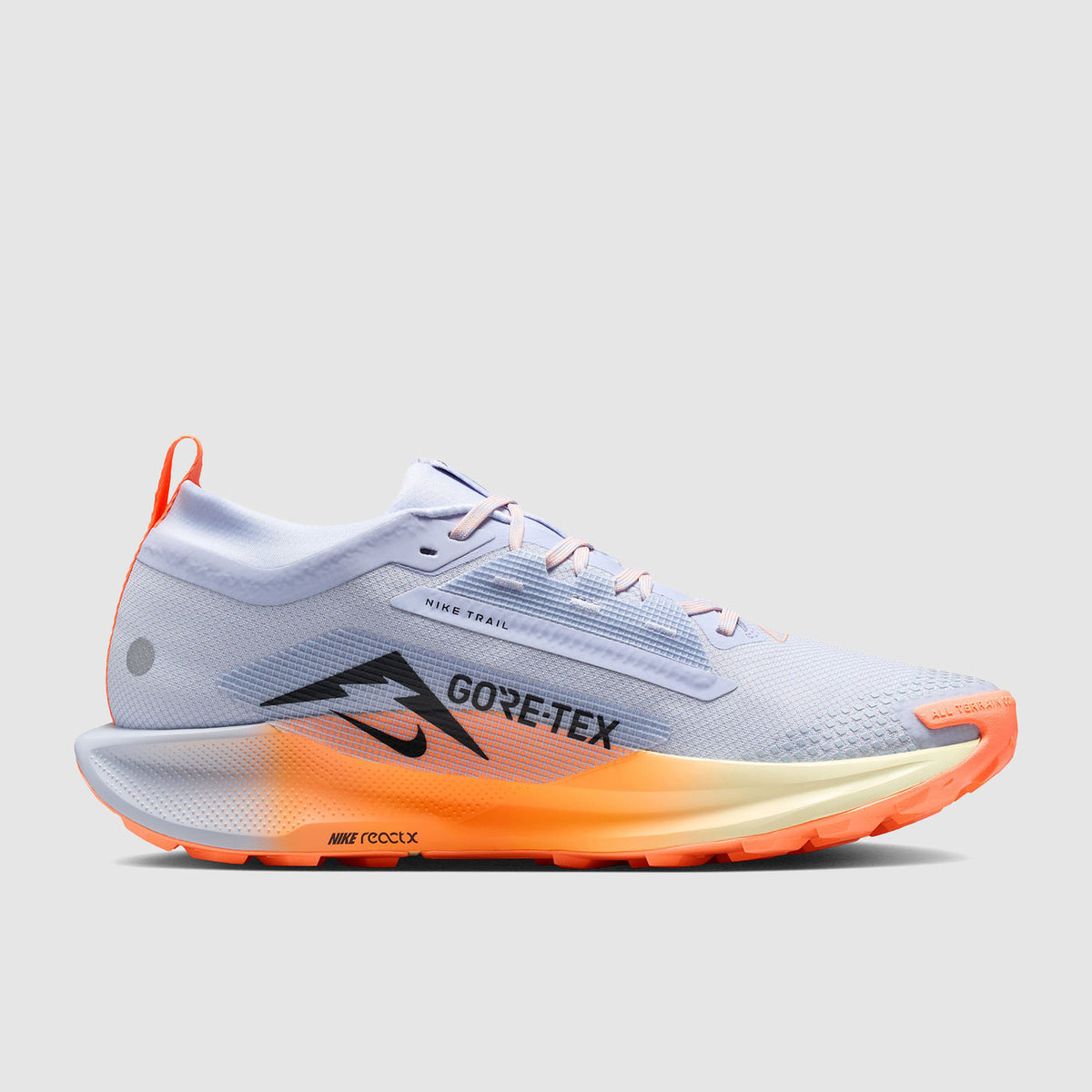 Nike Pegasus Trail 5 GORE-TEX