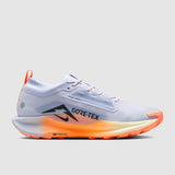 Nike Pegasus Trail 5 GORE-TEX