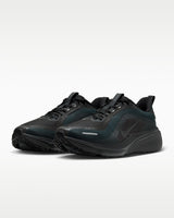 Nike Pegasus 42 GORE-TEX