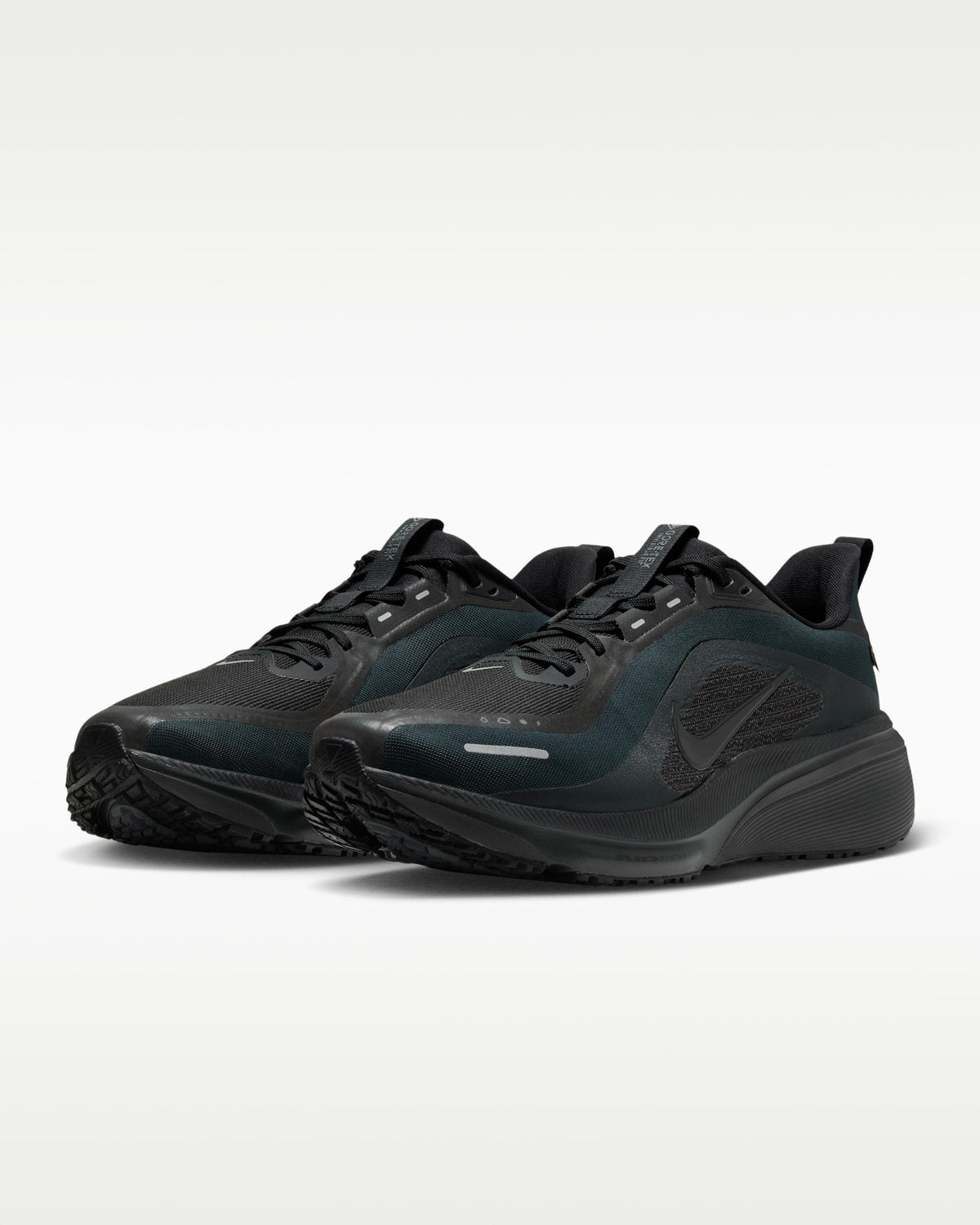 Nike Pegasus 42 GORE-TEX