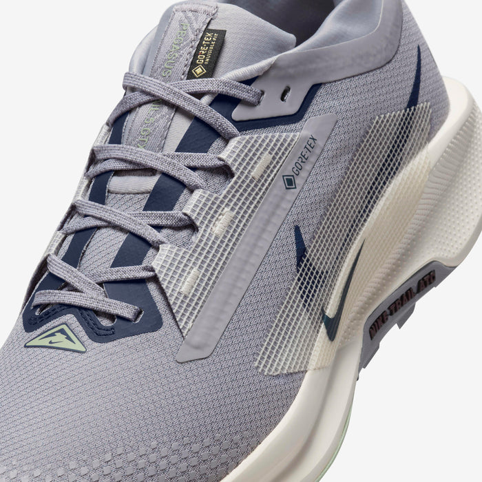 Nike Pegasus Trail 5 GORE-TEX