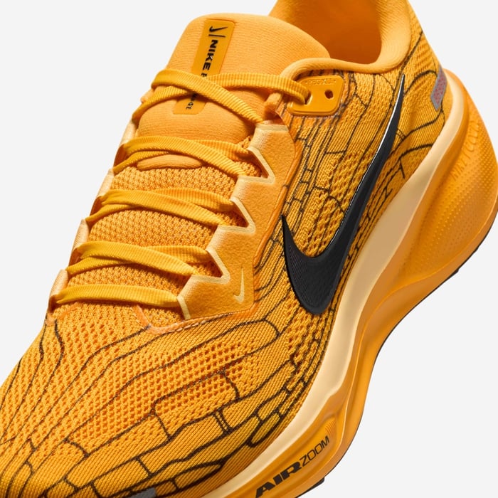 Nike Pegasus 41 LV8