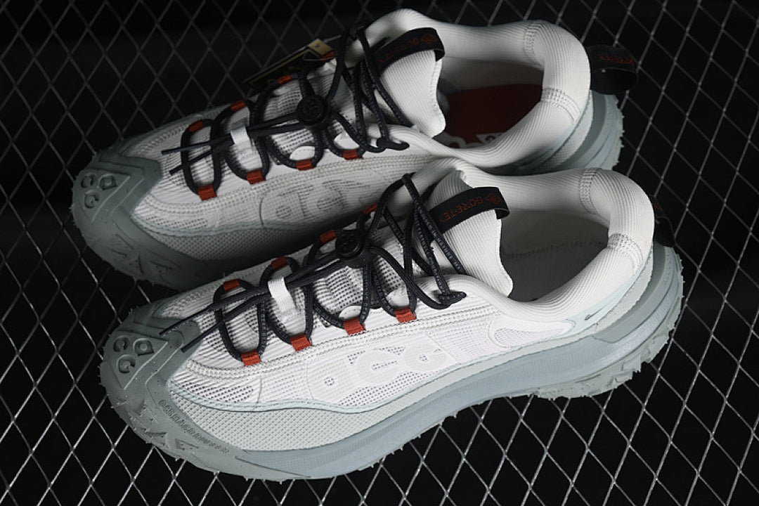 ACG MOUNTAIN FLY 2 LOW GTX SE PHANTOM/LIGHT SILVER/MICA GREEN/DARK SMOKE GREY
