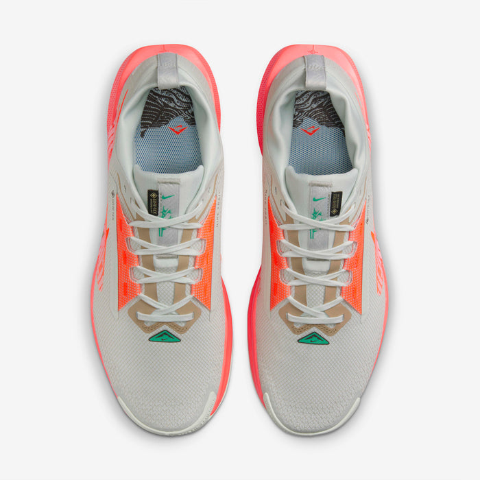 Nike Pegasus Trail 5 GORE-TEX