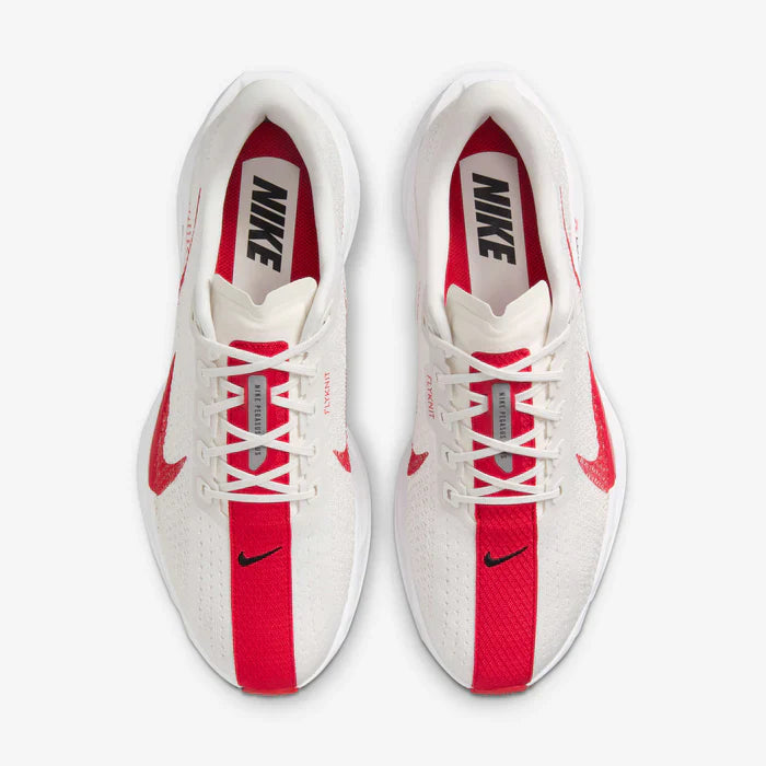 Nike Pegasus Plus