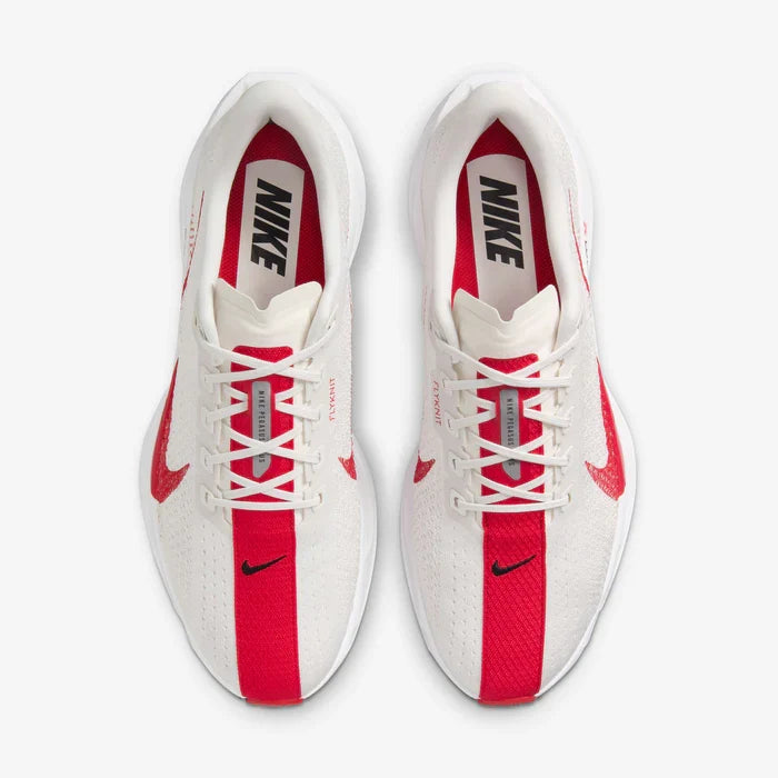 Nike Pegasus Plus