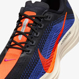 Nike Pegasus Plus