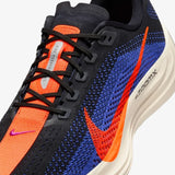 Nike Pegasus Plus