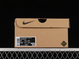 ACG MOUNTAIN FLY LOW GTX SE BROWN BLACK