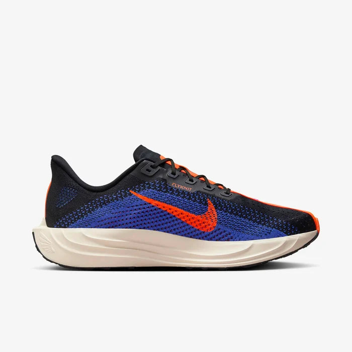 Nike Pegasus Plus