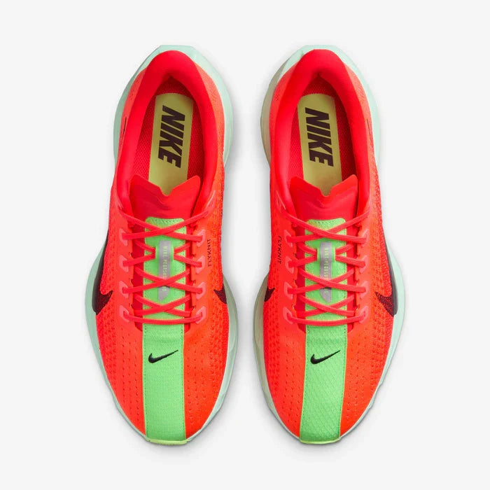 Nike Pegasus Plus