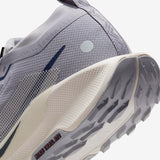 Nike Pegasus Trail 5 GORE-TEX
