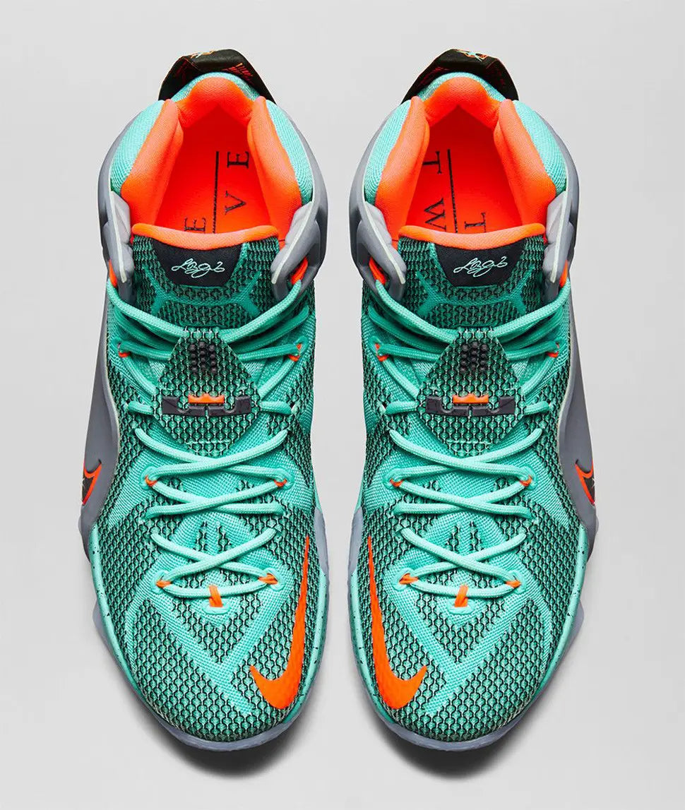 LeBron 12 'NSRL'