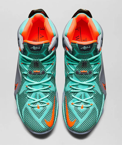 LeBron 12 'NSRL'