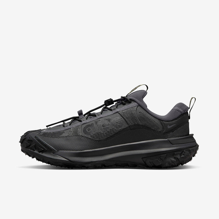Nike ACG Mountain Fly 2 Low GORE-TEX