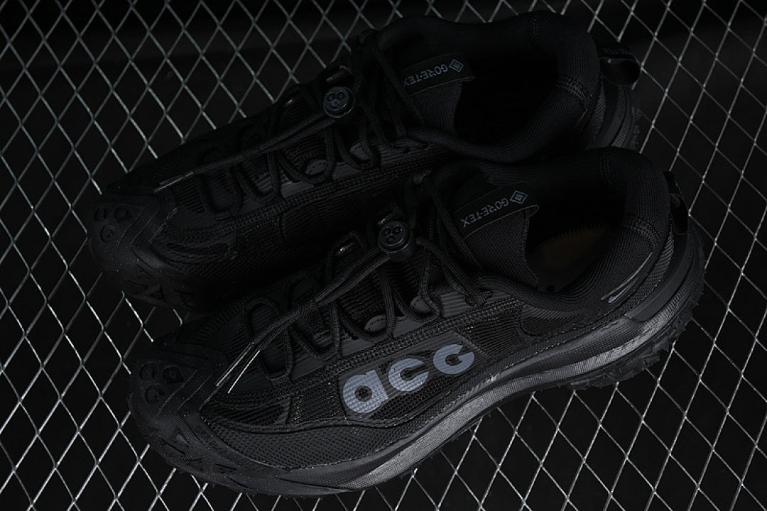 ACG MOUNTAIN FLY 2 LOW GTX SE BLACK