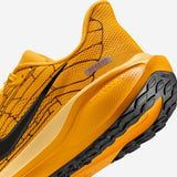 Nike Pegasus 41 LV8