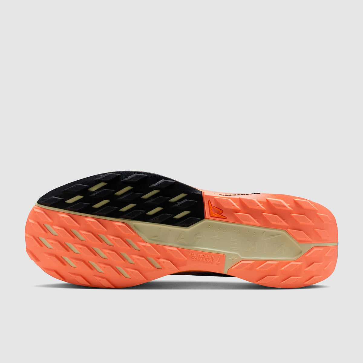 Nike Pegasus Trail 5 GORE-TEX