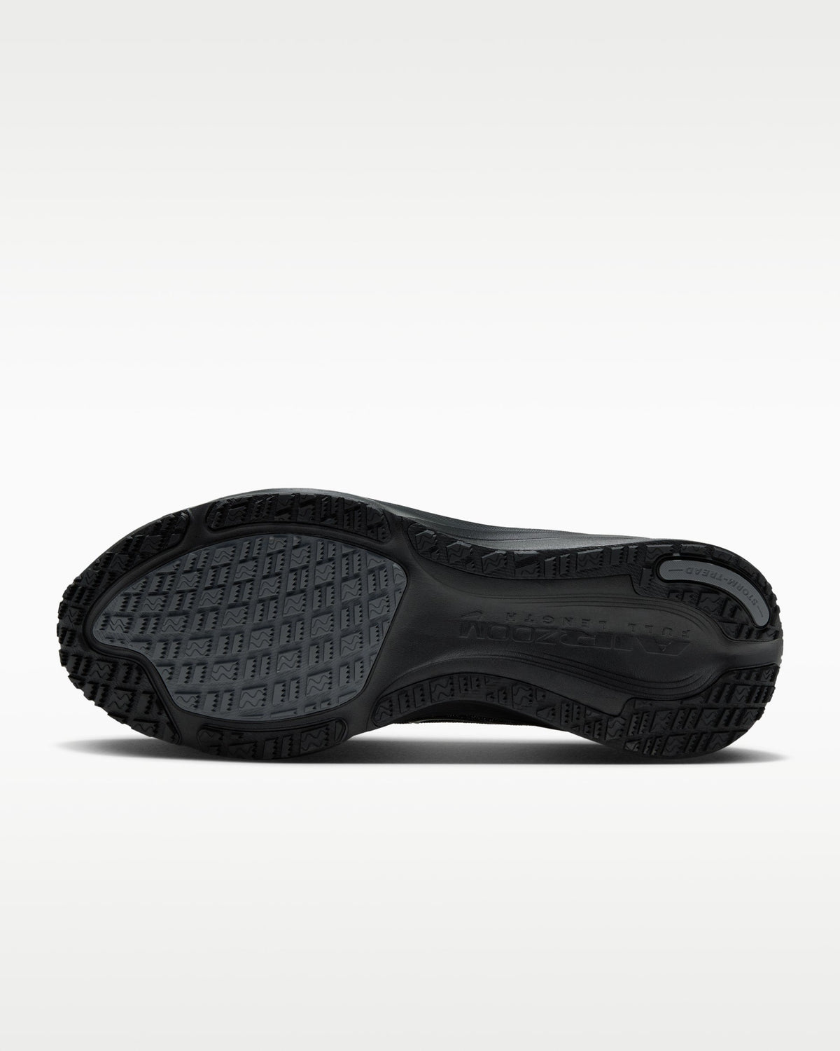 Nike Pegasus 42 GORE-TEX