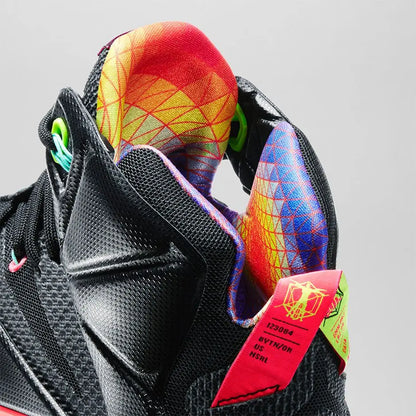 LeBron 12 'Data'