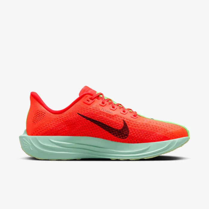 Nike Pegasus Plus