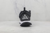 ACG MOUNTAIN FLY LOW GTX SE BLACK/BLACK/WHITE