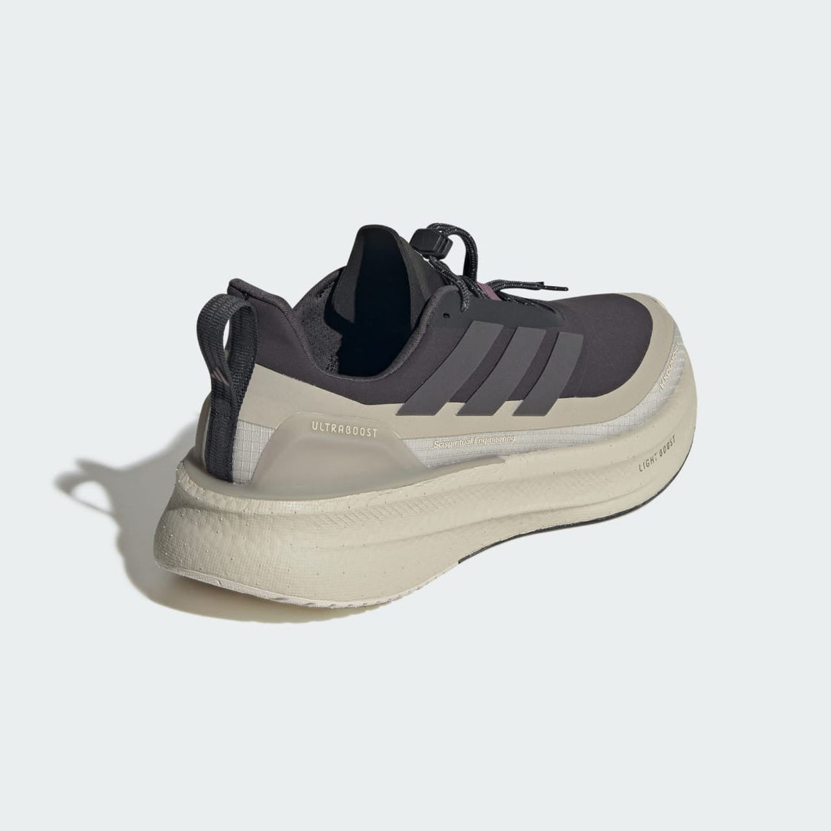 Adidas Ultraboost 5 TR Shoes