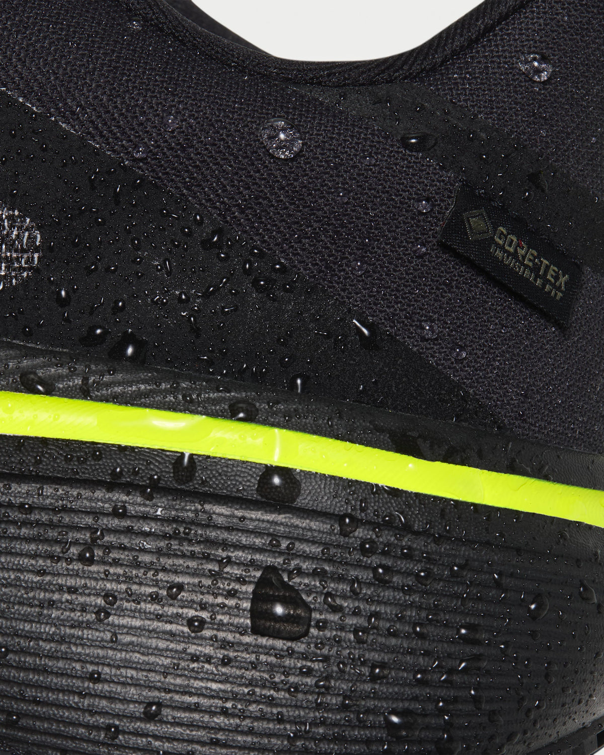 Nike Pegasus 42 GORE-TEX