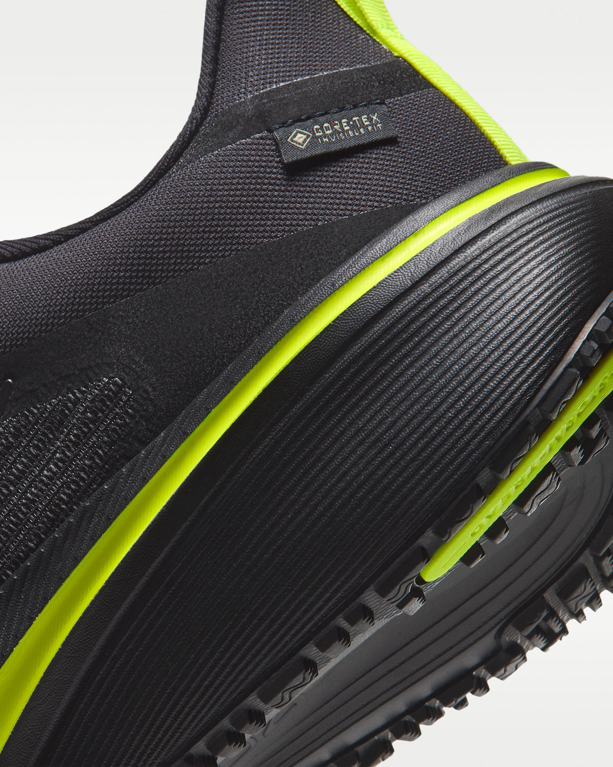 Nike Pegasus 42 GORE-TEX