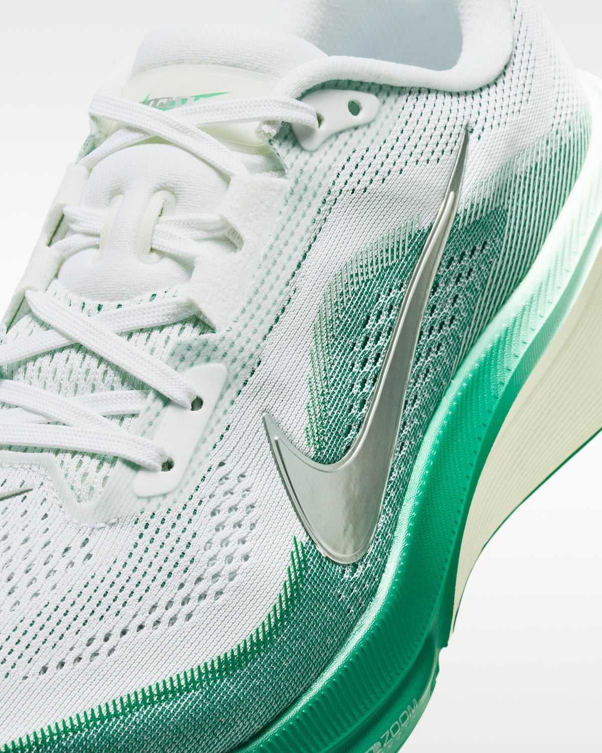 Nike Pegasus 42