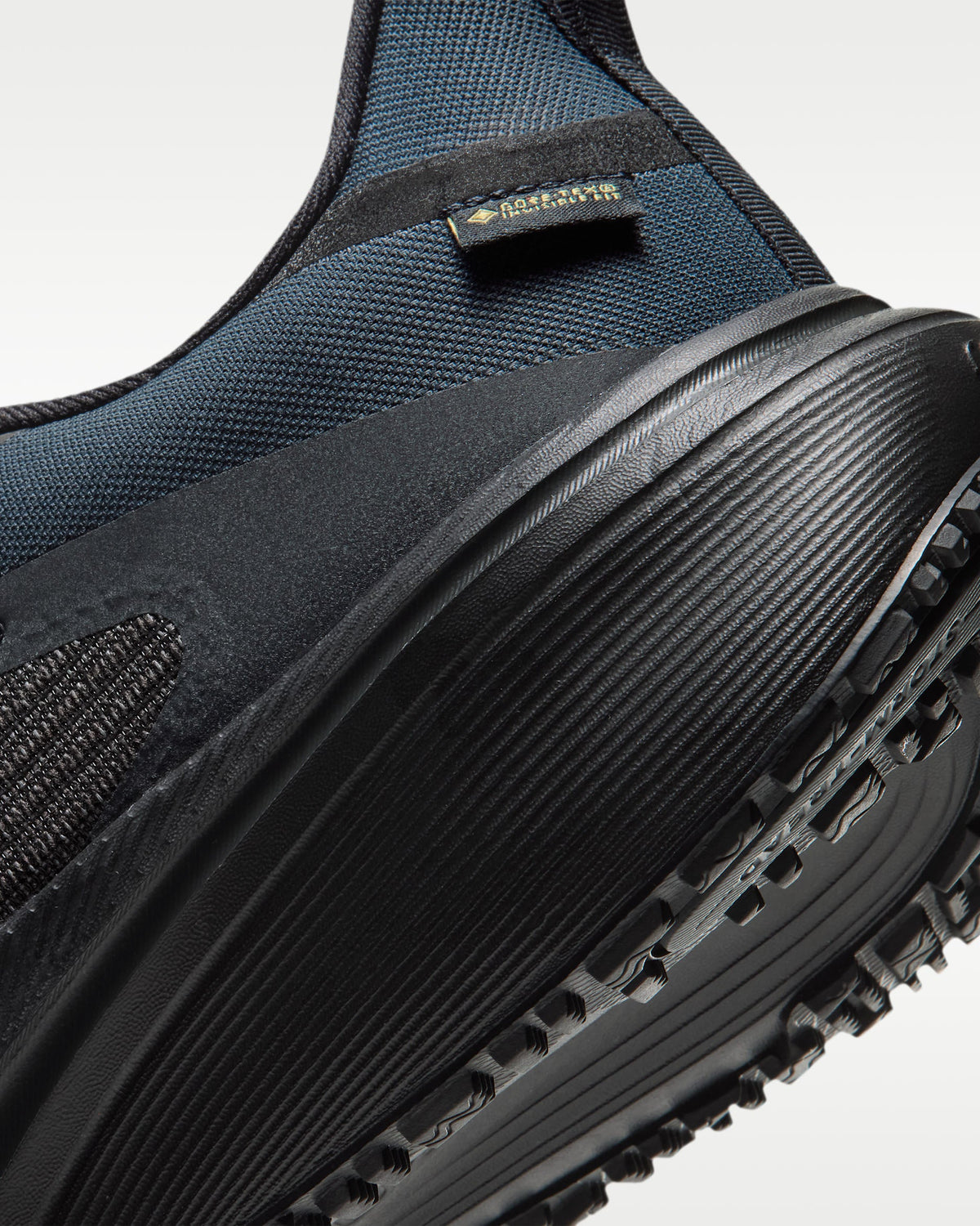 Nike Pegasus 42 GORE-TEX