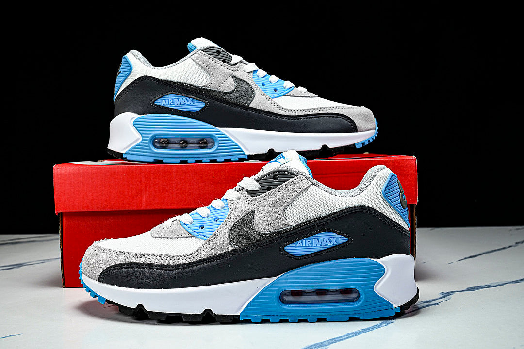 【250】DM0029-019 AIR MAX 90 PLATINUM TINT/IRON GREY/BLUE LIGHTNING