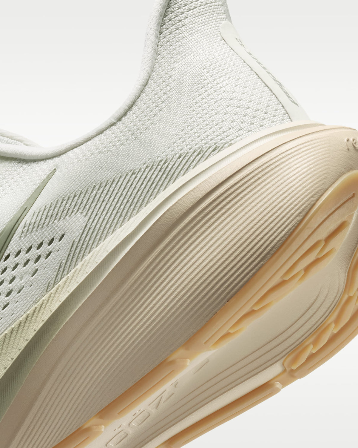 Nike Pegasus 42