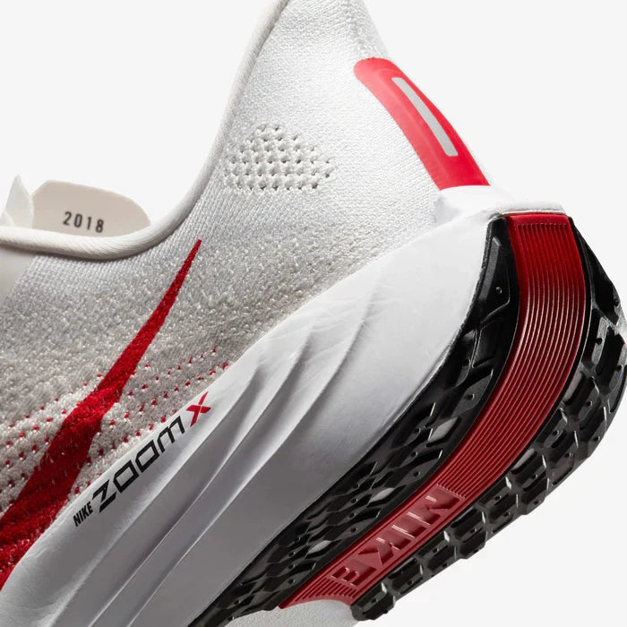 Nike Pegasus Plus