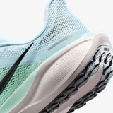 Nike Pegasus 41