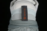 ACG MOUNTAIN FLY 2 LOW GTX SE PHANTOM/LIGHT SILVER/MICA GREEN/DARK SMOKE GREY